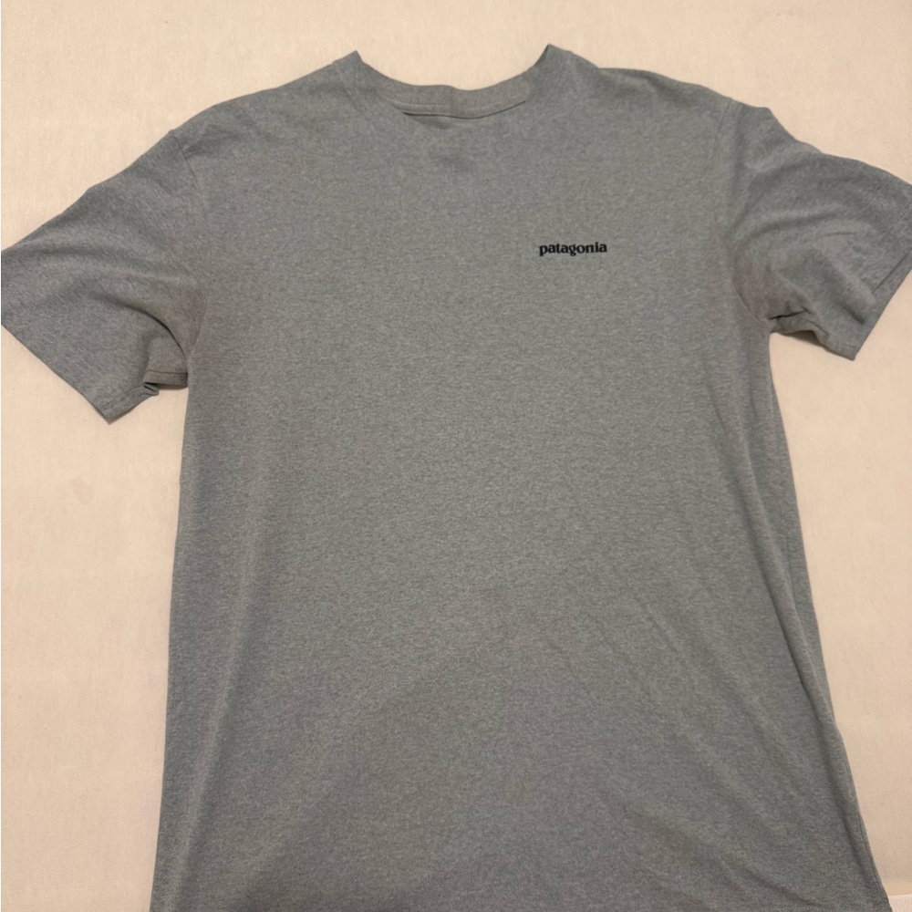 Patagonia Men's Short Sleeve Gray Tee
